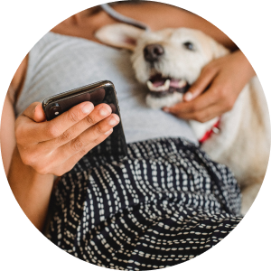 Access your pet’s medical records all in one place